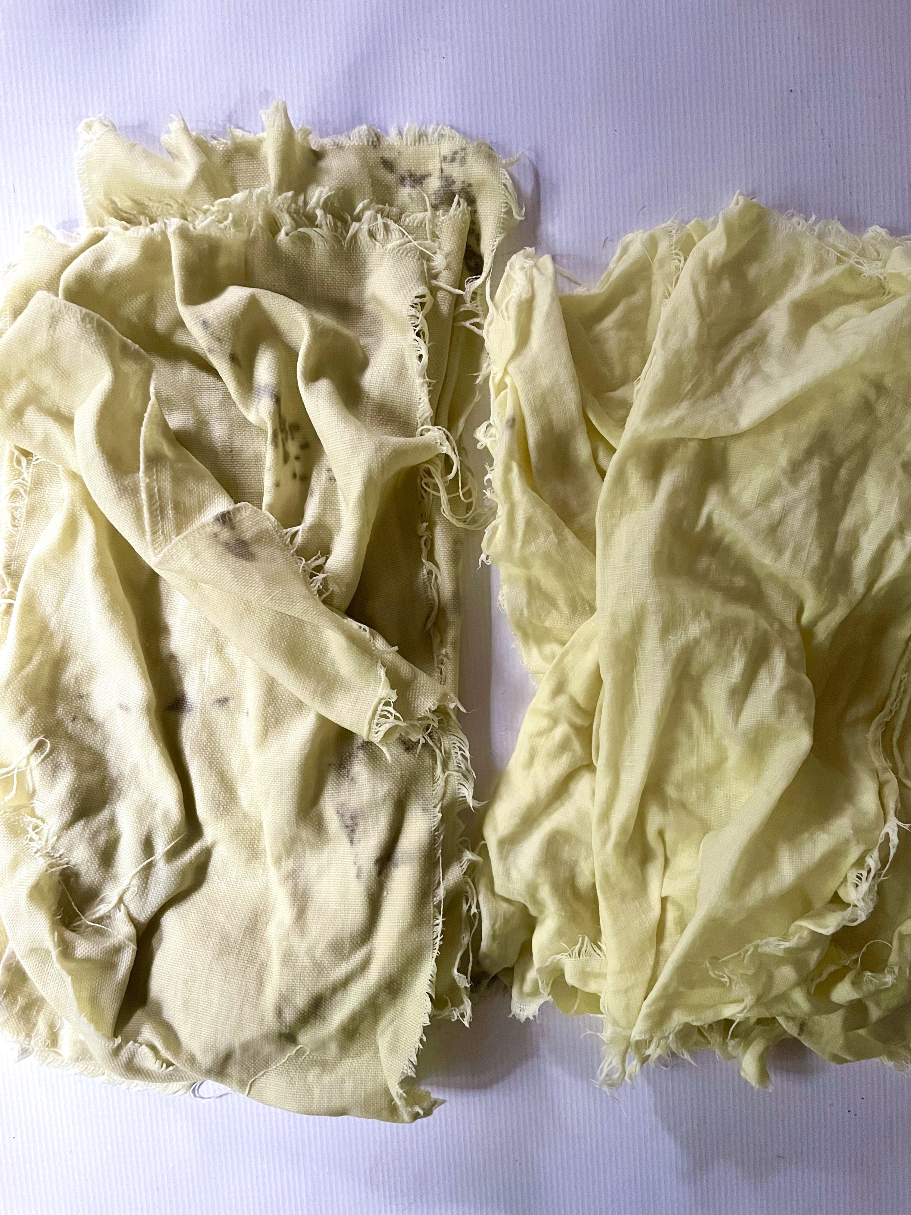 white linen prepped for natural dyeing: scoured and mordant