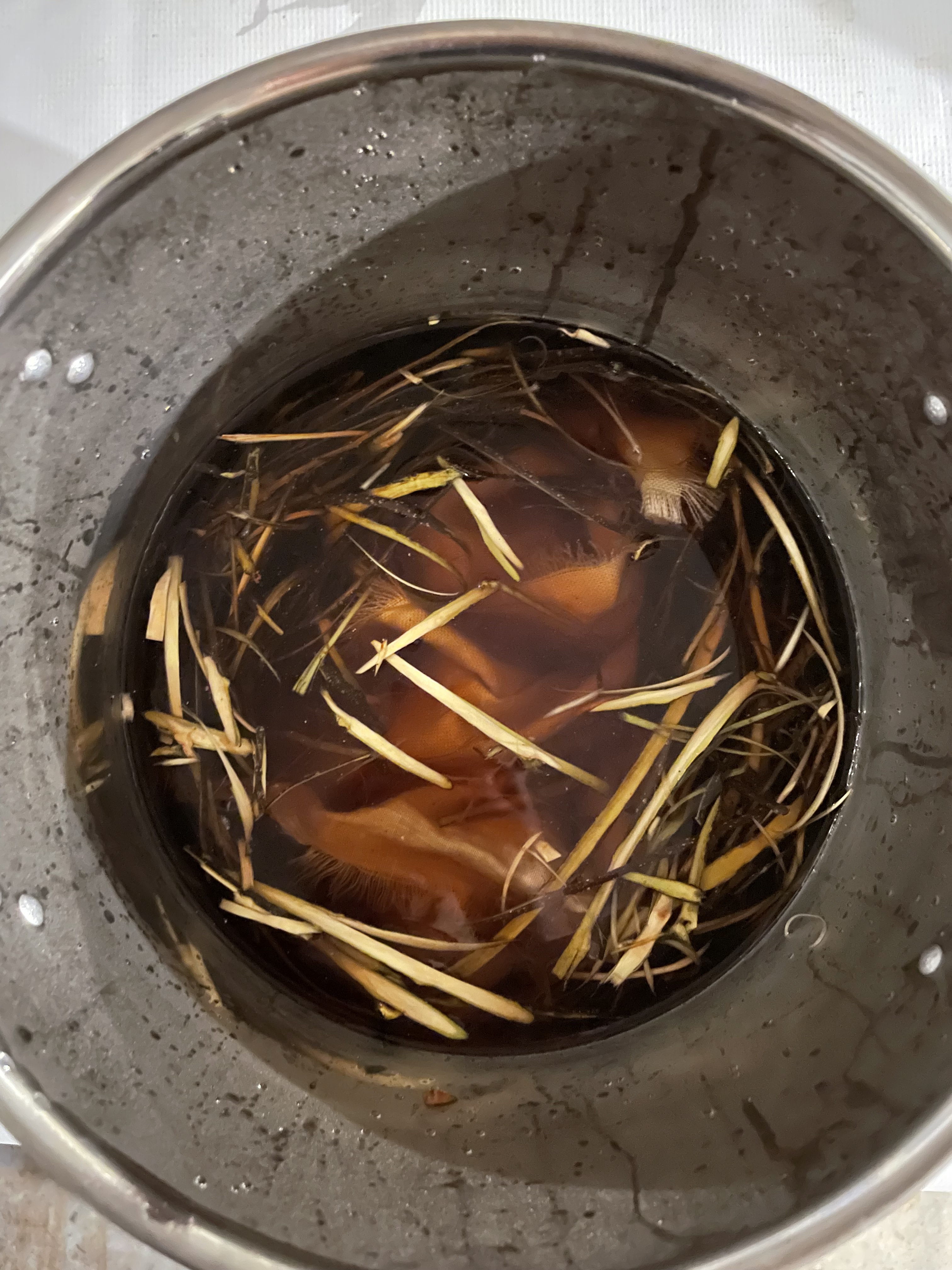 buckthorn bark dye bath