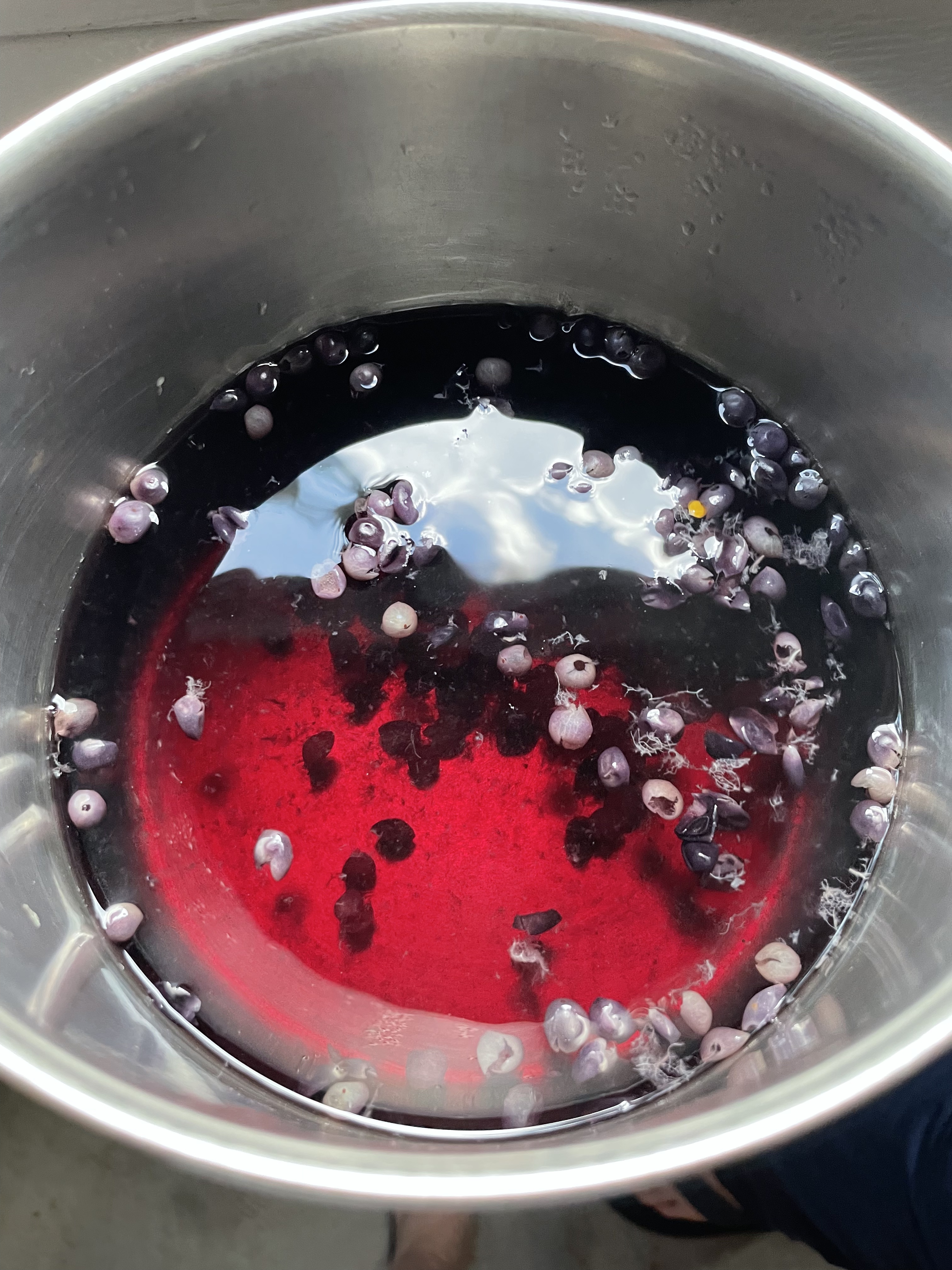 buckthorn berry skins